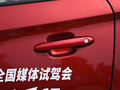 小蚂蚁 图片