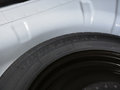 福克斯 图片