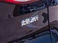 魏牌 VV6 图片