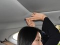 赛图斯 图片