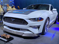 Mustang新能源 图片