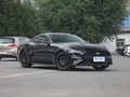 Mustang 图片