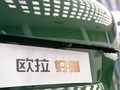 欧拉好猫 图片