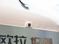 欧拉好猫 图片