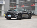 Mustang 图片