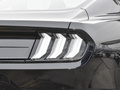Mustang 圖片