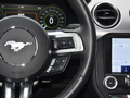 Mustang 圖片