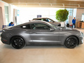 Mustang 圖片