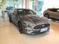Mustang 圖片