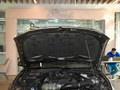 Mustang 圖片