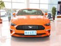 Mustang 图片