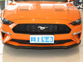 Mustang 圖片