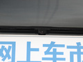 歐拉黑貓 圖片