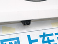 小螞蟻 圖片