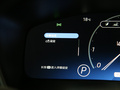 亚洲狮 图片