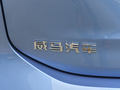 威马W6 图片