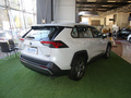 RAV4荣放 图片