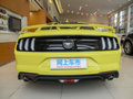 Mustang 图片