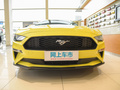 Mustang 圖片