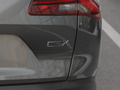 凡尔赛C5 X 图片
