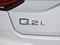 奧迪Q2L 圖片