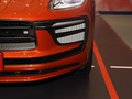 Macan 圖片