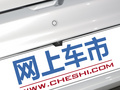 海豚 图片