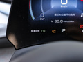 海豚 图片