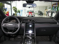 上汽大通MAXUS D60 图片