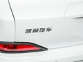 炫界Pro EV 图片