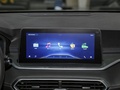 炫界Pro EV 图片
