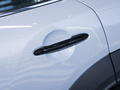 MINI COUNTRYMAN 图片