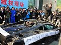 Gallardo 图片