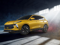 风行T5 EVO 图片
