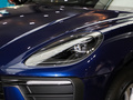 Macan 图片