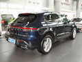 Macan 图片