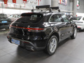 Macan 图片