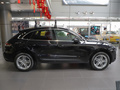 Macan 图片