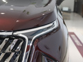 上汽大通MAXUS G90 图片