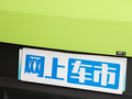 海鸥 图片