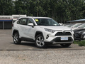 RAV4荣放 图片