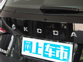 柯迪亞克 圖片