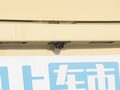 小虎 图片