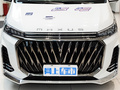 上汽大通MAXUS G20 圖片