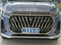 上汽大通MAXUS G20 圖片