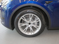 Model Y 图片