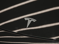 Model Y 图片