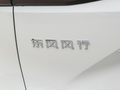 风行·游艇 图片