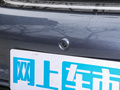 海豚 图片