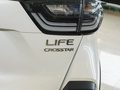 LIFE 图片